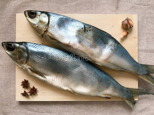 Королевский полосатик: Сиг вяленый