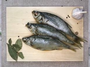 Королевский полосатик: Красноперка вяленая