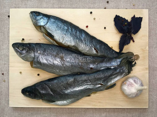 Арахис в глазури: Форель радужная вяленая